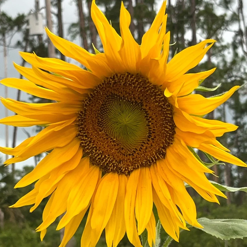 PLEASE LIKE NEW GAME! - Picture 9 of 12